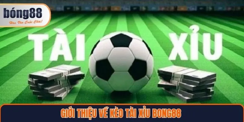 Giới thiệu về kèo tài xỉu Bong88