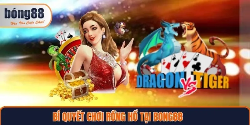 Bí quyết chơi rồng hổ tại Bong88