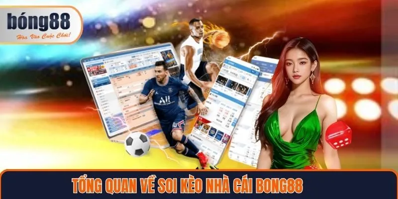 Tổng quan về soi kèo nhà cái