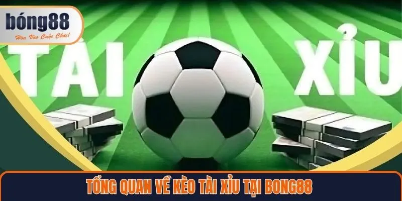 Tổng quan về kèo tài xỉu tại Bong88