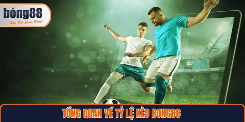 Tổng quan về tỷ lệ kèo Bong88